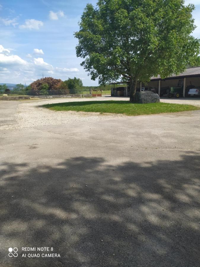 Отель Le Saloon Chazey-sur-Ain Экстерьер фото
